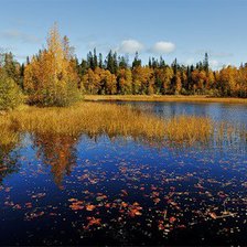 Схема вышивки «пейзаж»