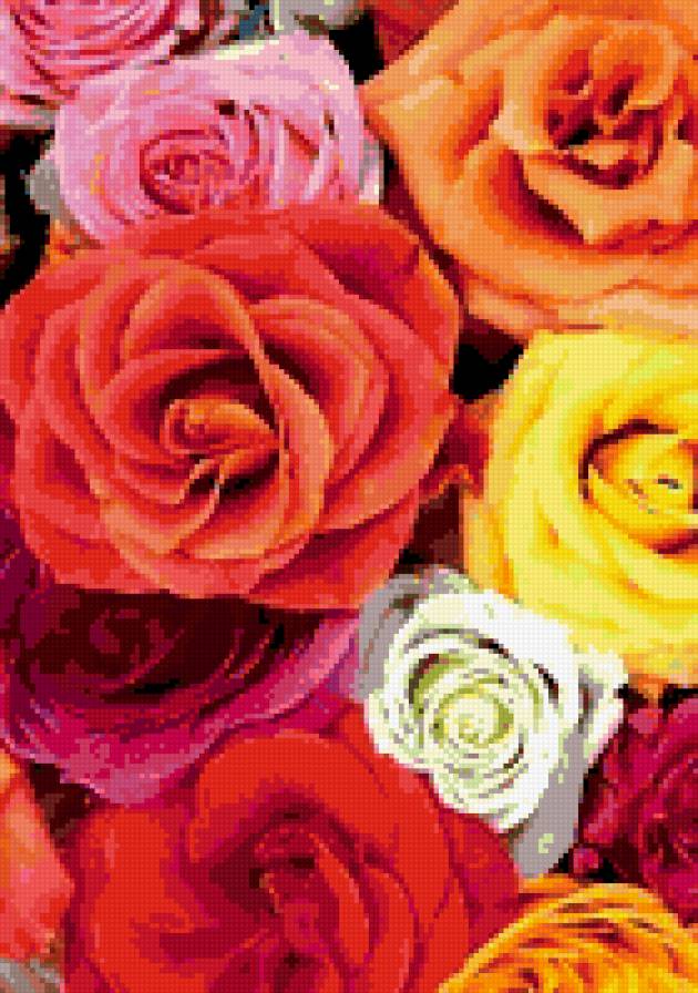 РОЗЫ - цветы - предпросмотр