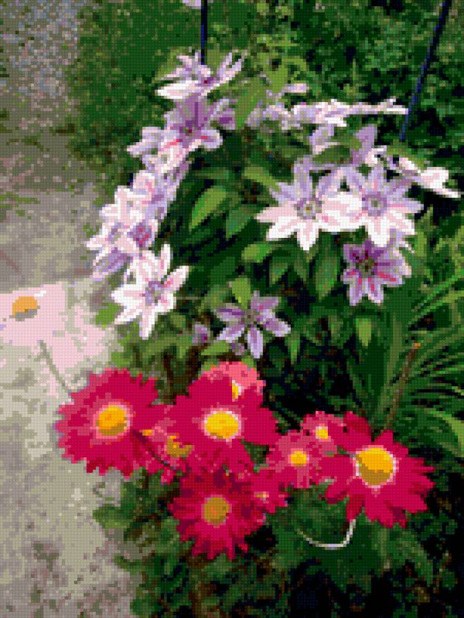 Самые любимые. - цветы моего сада. - предпросмотр