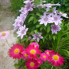 Схема вышивки «Самые любимые.»