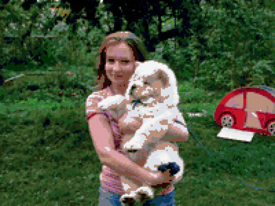 Наша чау-чау Эллина - любимица и красавица. - предпросмотр