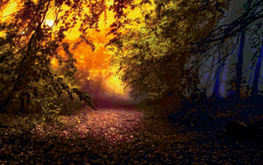 Таинственный лес - лес - предпросмотр