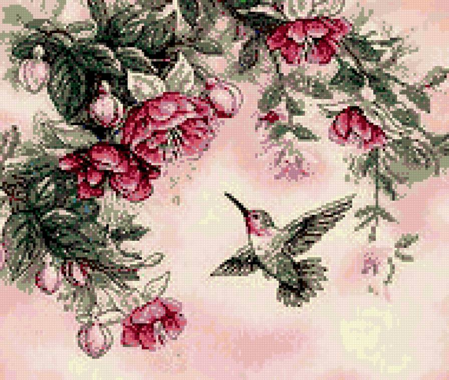 колибри от Дим - предпросмотр