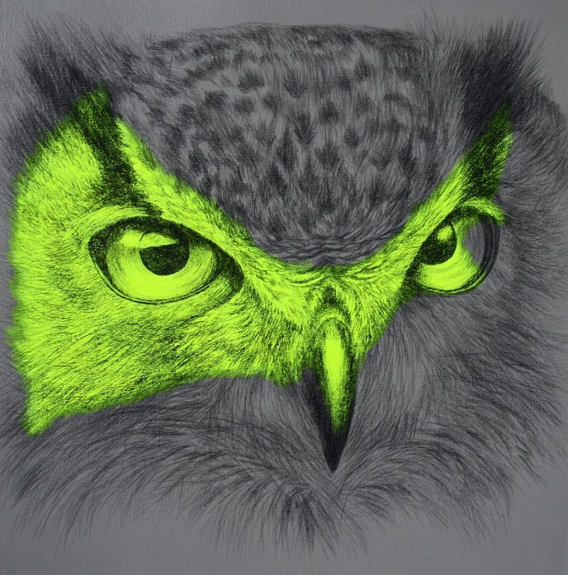 Сова - филин, сова, птицы - оригинал