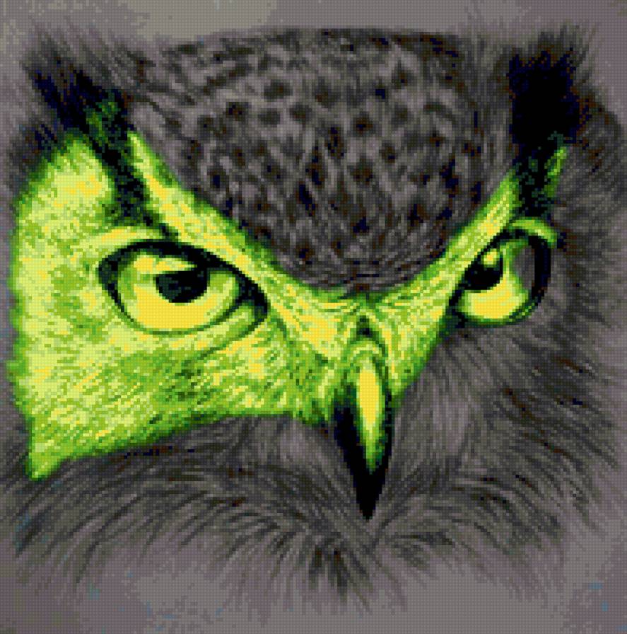 Сова - сова, птицы, филин - предпросмотр