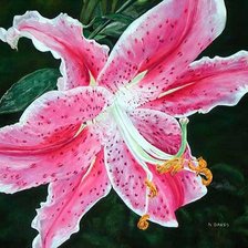 Схема вышивки «№277345»