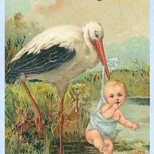 Схема вышивки «№277352»