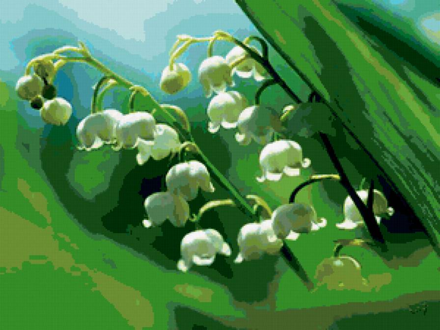 ландыши - предпросмотр