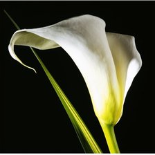 Схема вышивки «№277382»