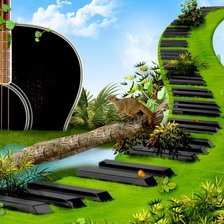 Оркестровая душа