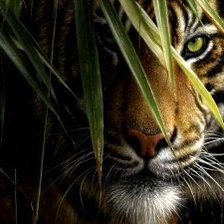 Схема вышивки «№277494»