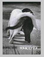 вместе навсегда