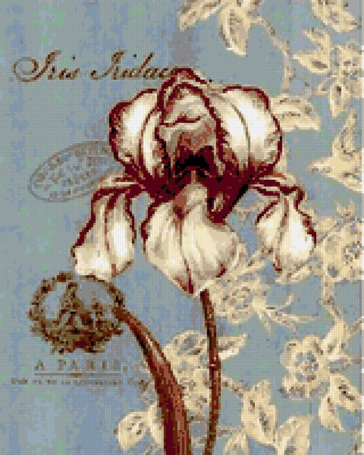 №277539 - предпросмотр