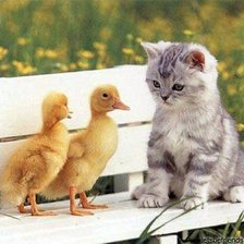 Схема вышивки «А вы кто?»