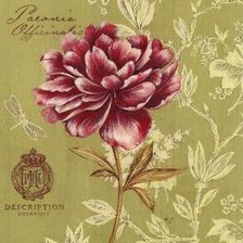 Схема вышивки «№277545»