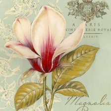 Схема вышивки «№277547»