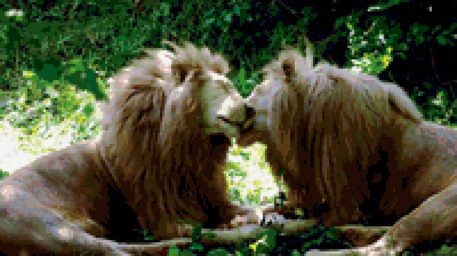 №277550 - животные, котэ - предпросмотр