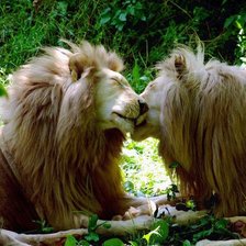 Схема вышивки «№277550»