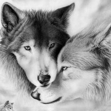 Схема вышивки «Волки»