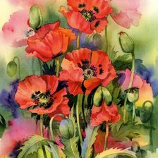 Схема вышивки «маки»