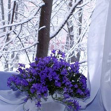 Схема вышивки «Цветы»