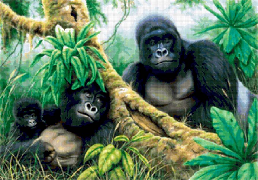 Семейство Горилл - листья, природа, обезьяны, пальмы, пейзаж, деревя - предпросмотр