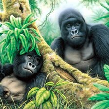 Схема вышивки «Семейство Горилл»