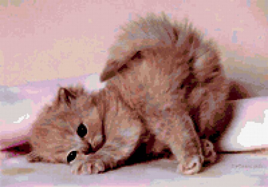 киса - предпросмотр