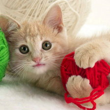 Схема вышивки «№277948»