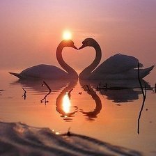 Схема вышивки «лебеди на озере»