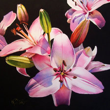 Схема вышивки «лилии на черном»