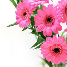 Схема вышивки «№277992»