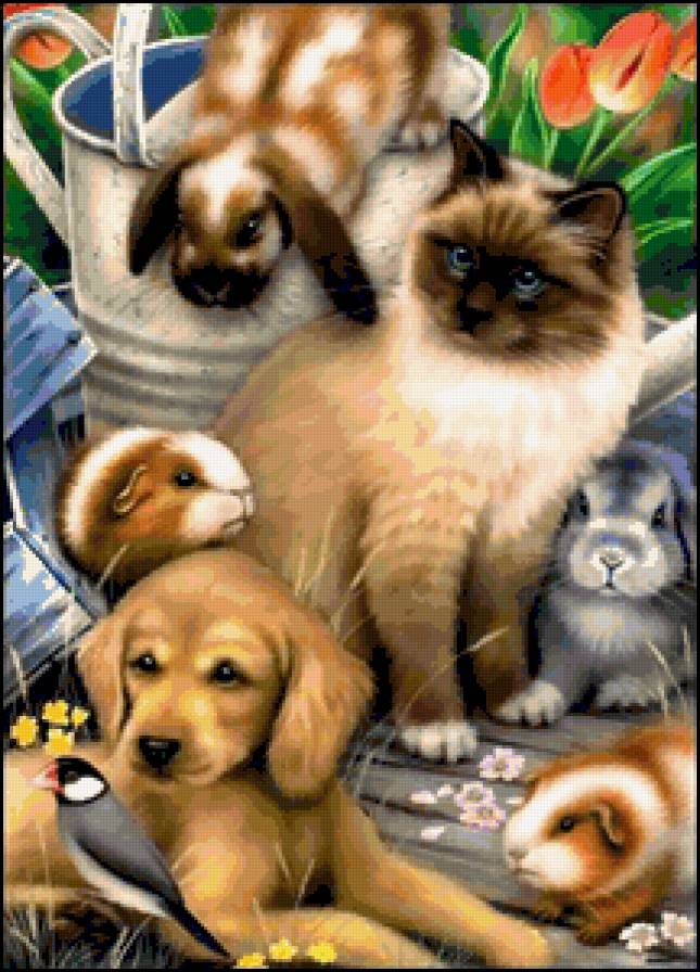 Домашние питомцы - птица, картина, кошка, собака, кролик, природа, морская свинка, заяц - предпросмотр