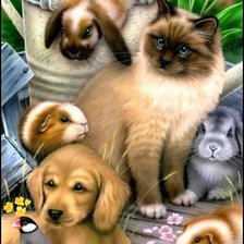 Схема вышивки «Домашние питомцы»