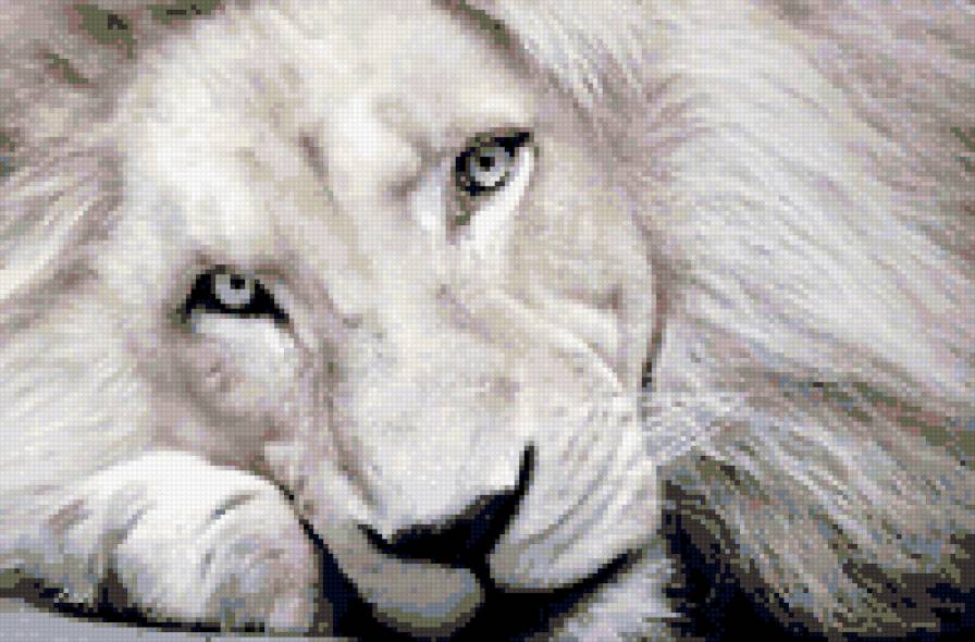 лев - предпросмотр