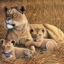 Схема вышивки «Семейство Львов»