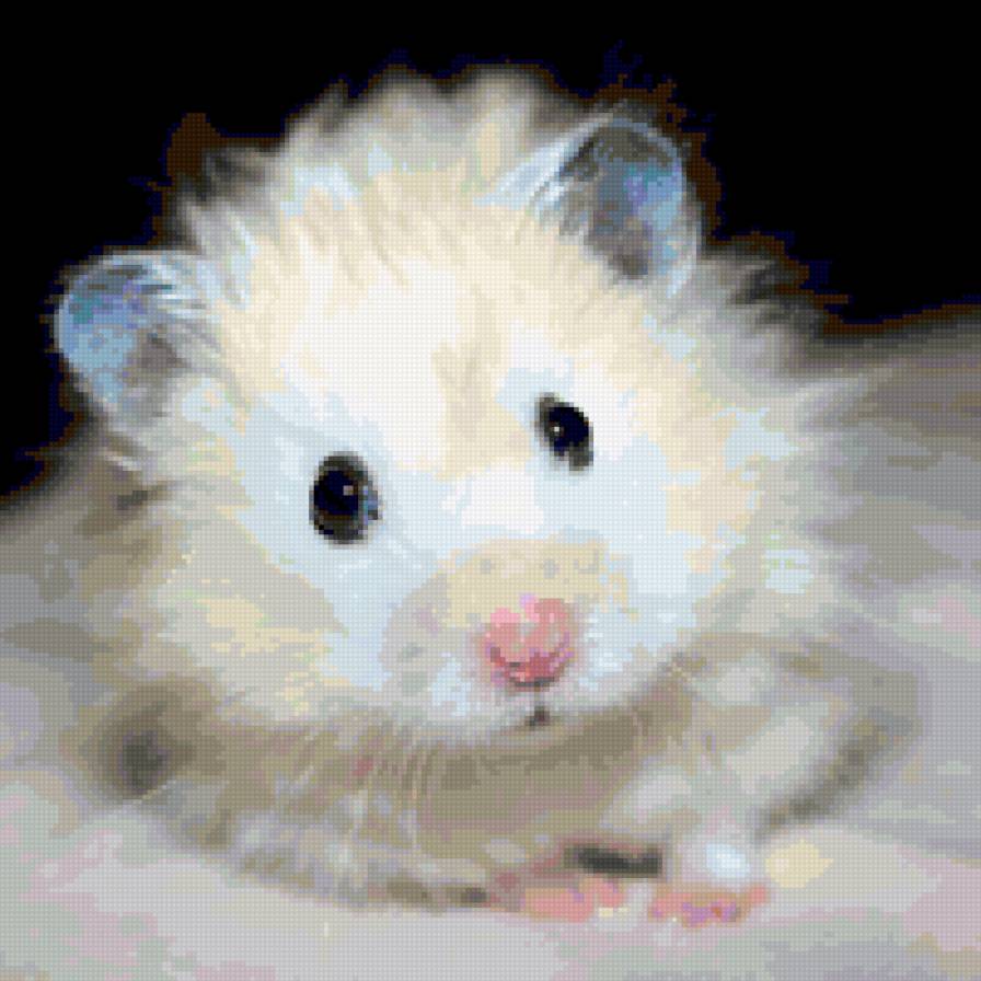 хомячок - хомяк, животные - предпросмотр