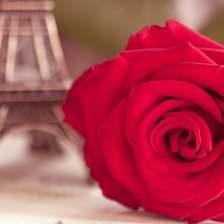 Схема вышивки «роза»