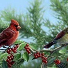 Схема вышивки «птицы Бредли Джексона»