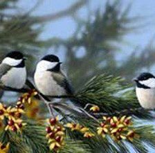 Схема вышивки «птицы Бредли Джексона»