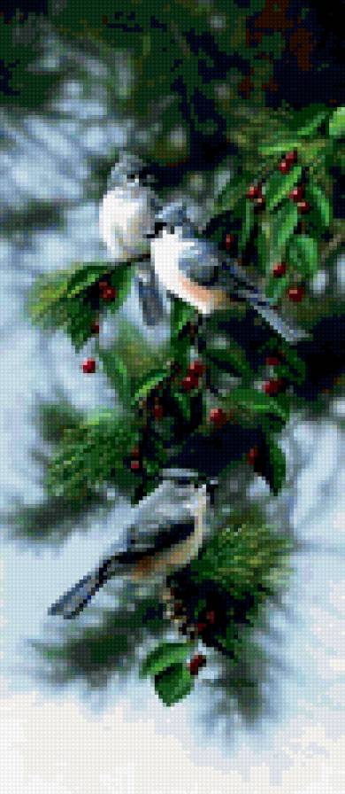 птицы Бредли Джексона - ягоды, лес, птицы, природа - предпросмотр