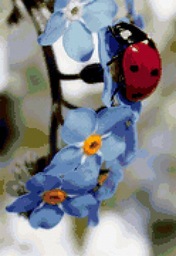 цветы - божья коровка, лето, цветы, незабудки, красота - предпросмотр