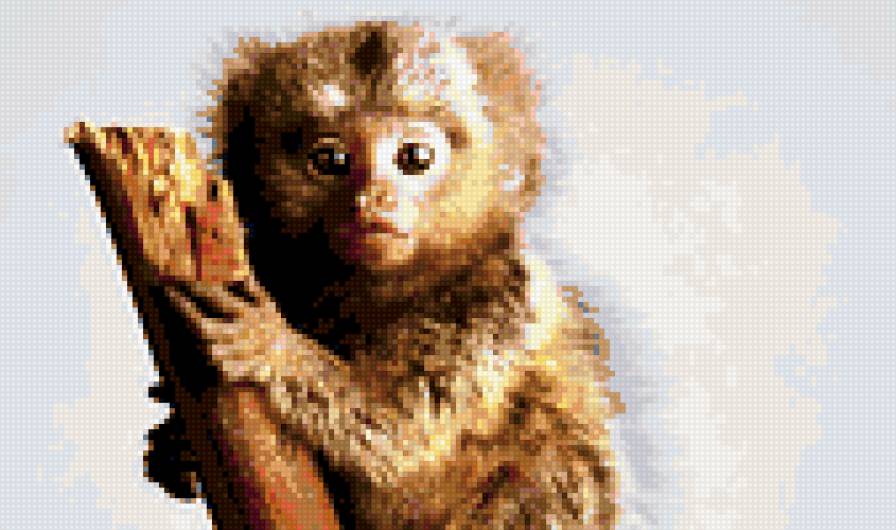 Мартышка:) - предпросмотр