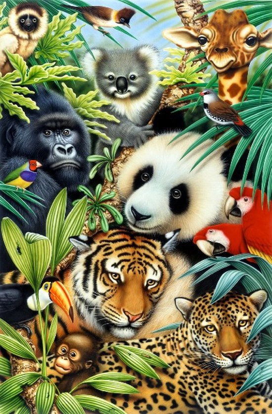 Джунгли - животные - оригинал