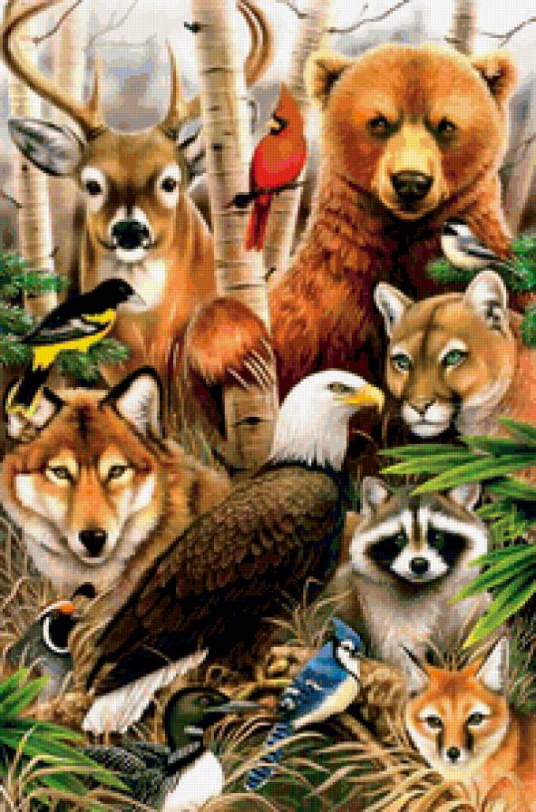 Животный мир - животные - предпросмотр