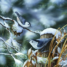 Схема вышивки «птицы»