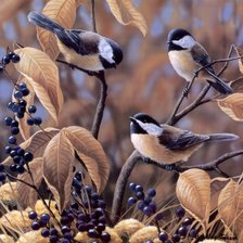 Схема вышивки «птицы»