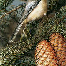 Схема вышивки «птицы»