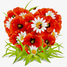 Схема вышивки «Сердце. Ромашки с маками»