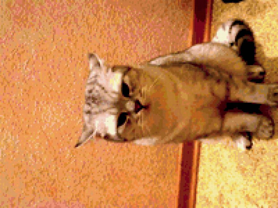 Фунтик - предпросмотр